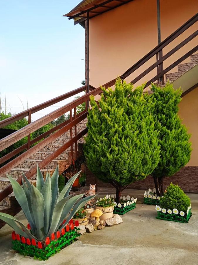 Изабелла Hotell Pizunda Exteriör bild